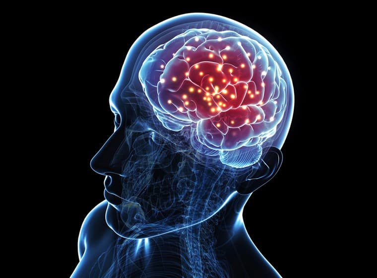 regdesk brain implants regulations