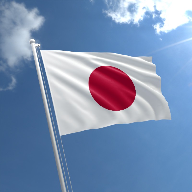 An Overview of Medical Device Regulations in Japan | RegDesk