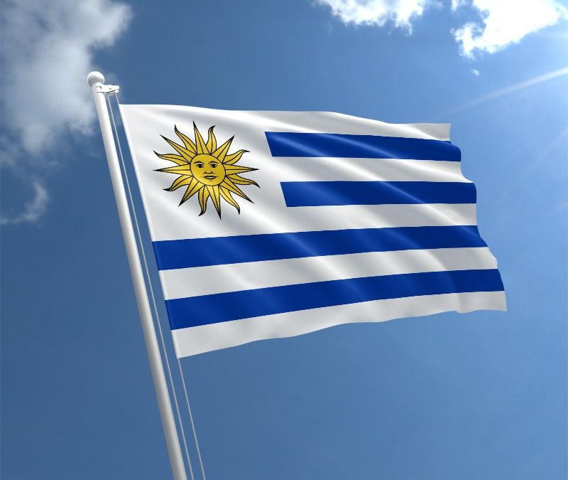 uruguay medical device regulations