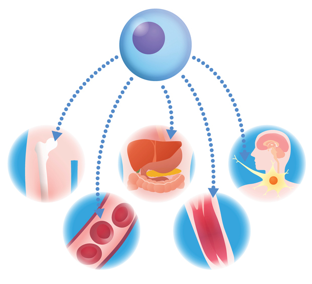 rmat medical device regulations