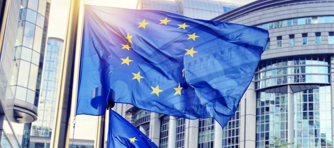 European Commission Published Guidance on Vigilance System