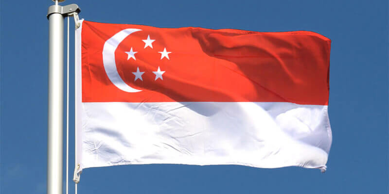 HSA Announces Singapore’s UDI System