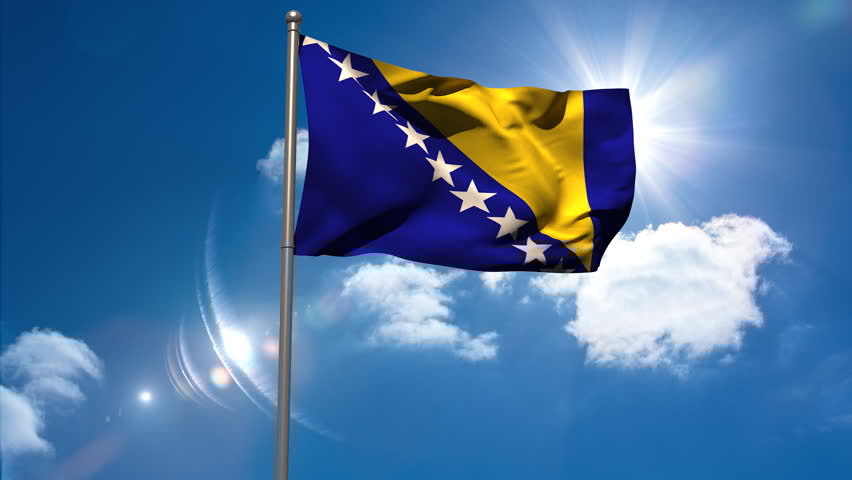 Guide to Bosnia and Herzegovina’s Medical Device Information System