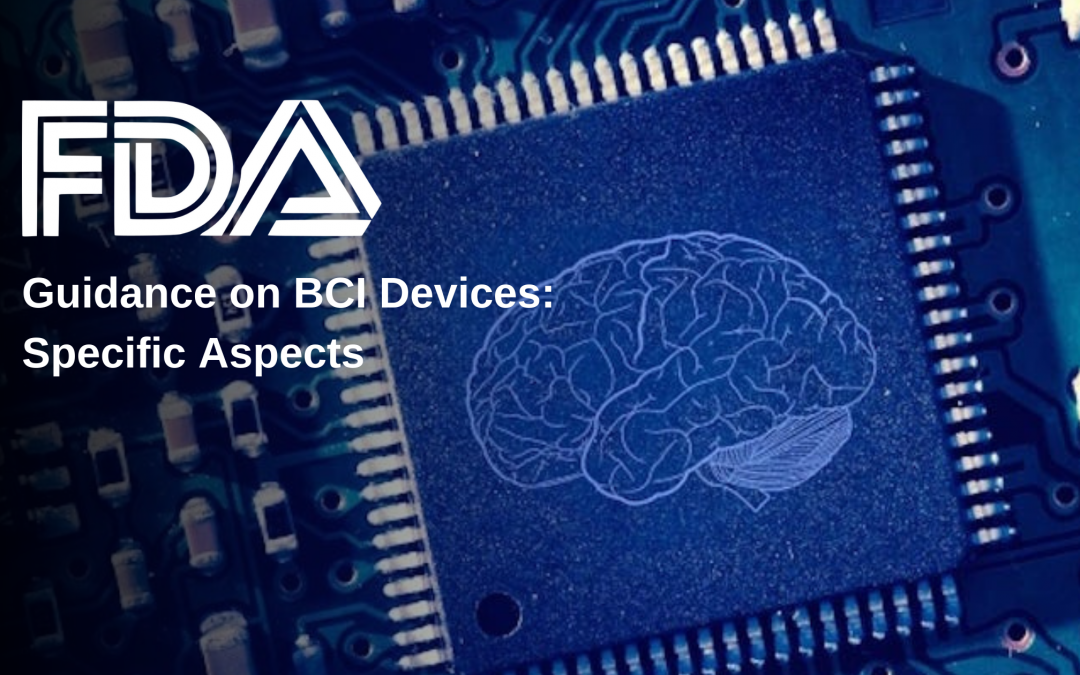 FDA Guidance on BCI Devices: Specific Aspects