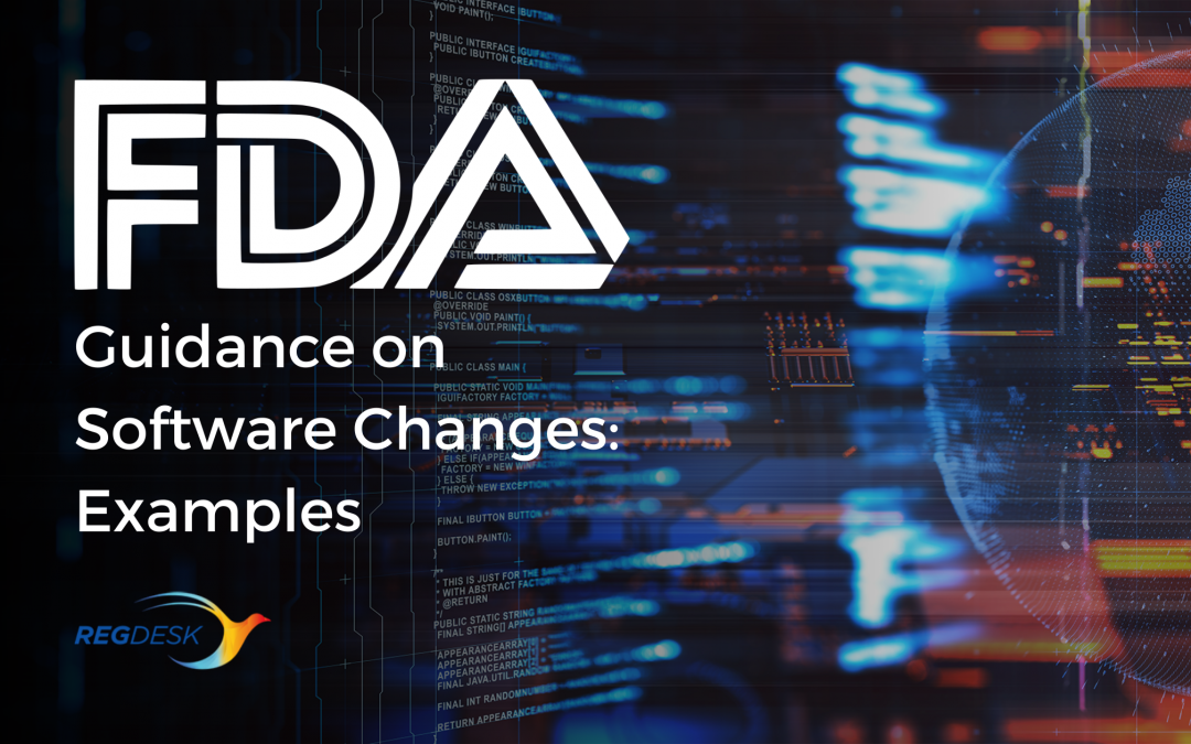 FDA Guidance on Software Changes: Examples