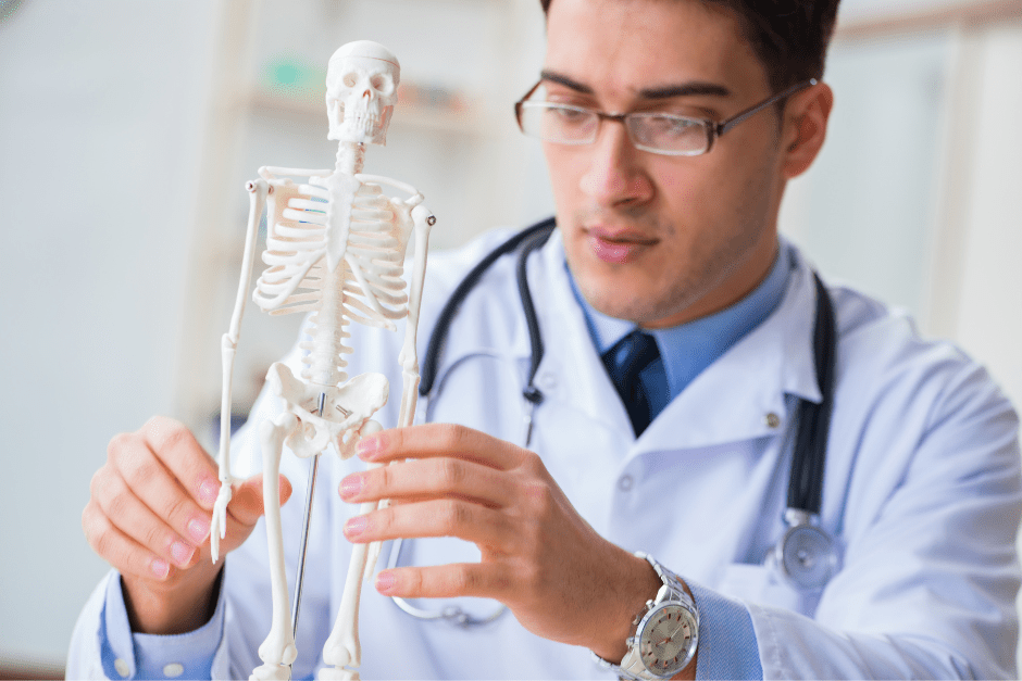 a doctor is holding a model of a human skeleton