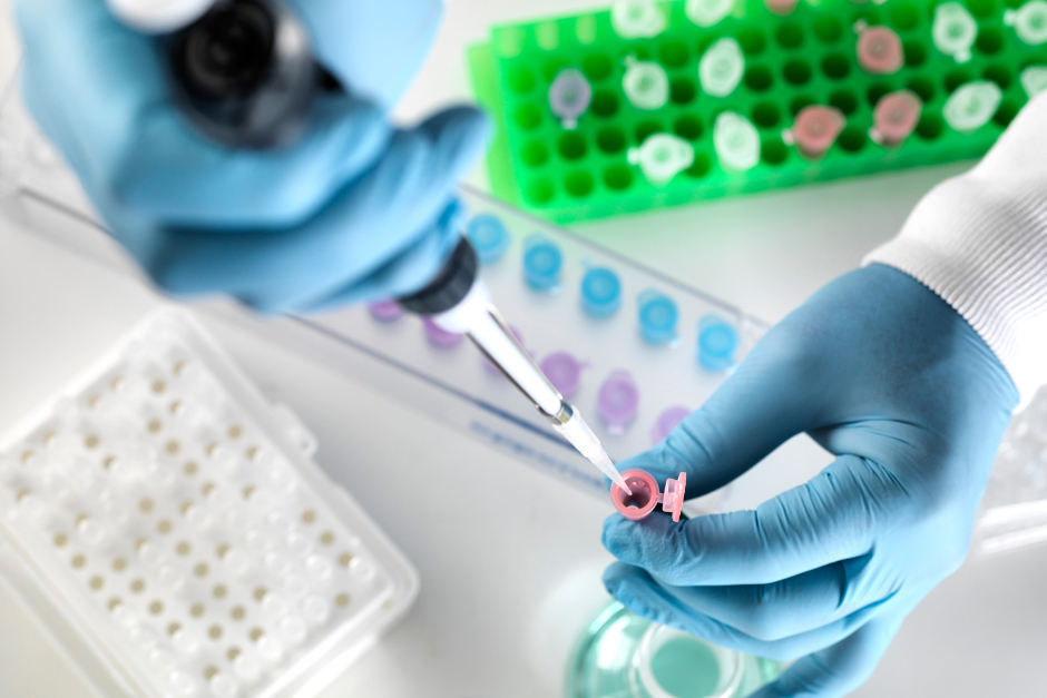 FDA on assessing credibility of computational modelling2