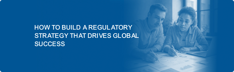 How to Build a Regulatory Strategy That Drives Global Success