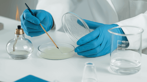 MDCG Guidance on Qualification of In Vitro Diagnostic Medical Devices: Overview